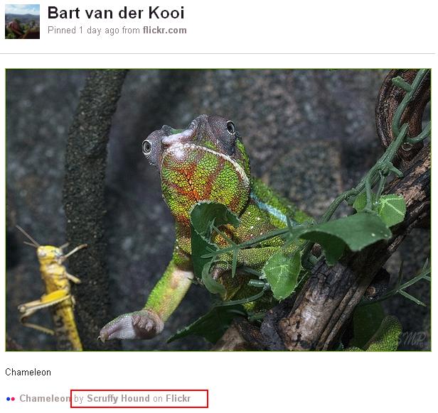 Auteursvermelding Flickr op Pinterest