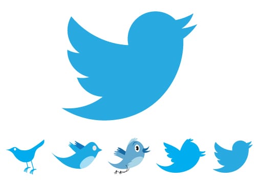 Twitter bird