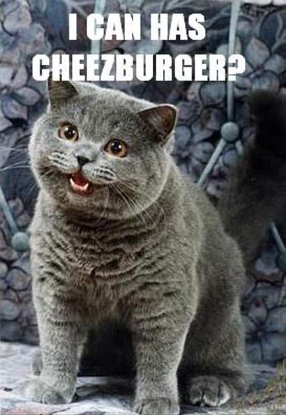 Lolcat