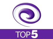 Online Campagne Top 5: Branding