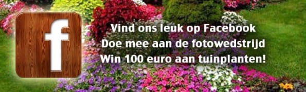 Facebook Fotowedstrijd