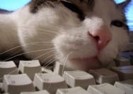 Hoezo tijdverspilling? Werk efficiënter dankzij social media!