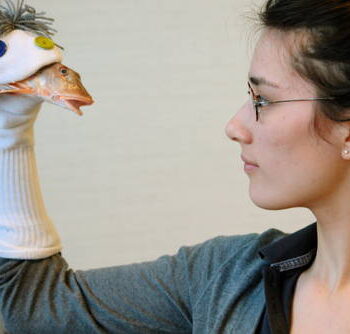 Stop sockpuppeting: bied valse reviews geen podium meer