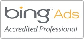 Bing Ads professional
