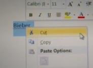 De zwarte kant van sociale media: gruwelijke internethype #Cut4Bieber