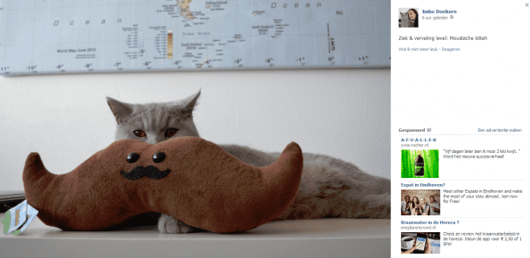 Imke en Kat Facebook 2