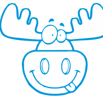 StickyMoose: Deel je ideeën en neem gezamenlijk beslissingen