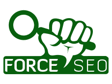 ForceSEO: Regelmatig updates over jouw PageRank, PageSpeed & positie in Google