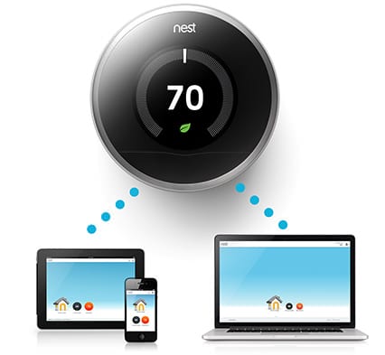 nest