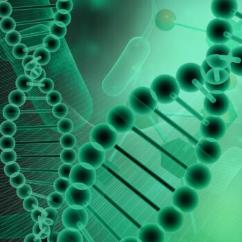 Social in de kern van de organisatie: tijd voor een DNA-mutatie!
