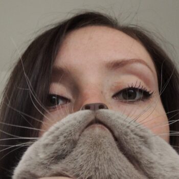 Internetmeme ‘cat bearding’: als je kat maar snor zit