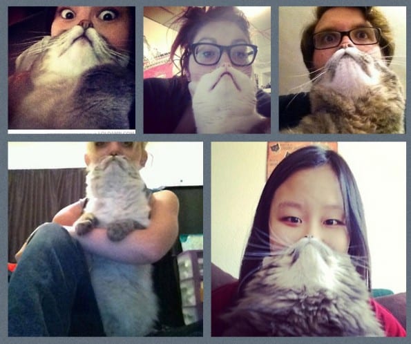 catbeard2