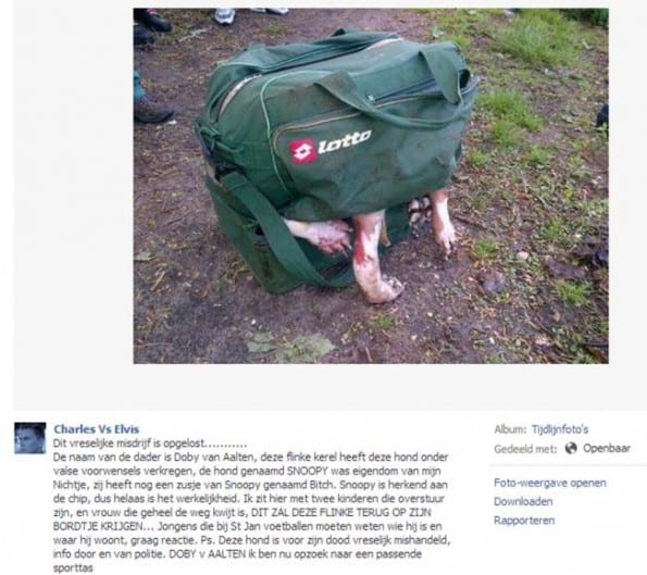hondendoder