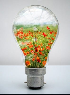 lamp