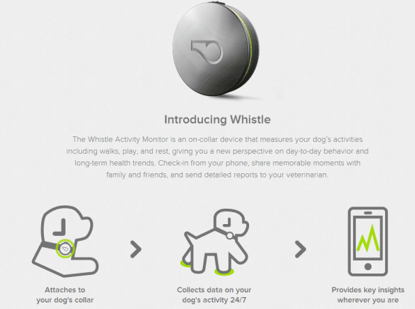whistle