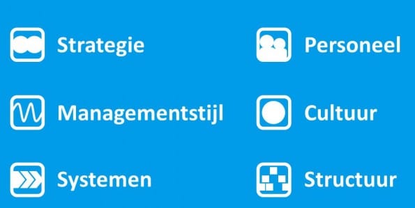 Organisatie-model