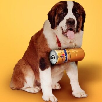 Inhaken op dierendag: beestachtig goed!