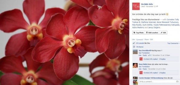 Orchideepost
