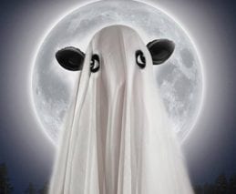 Inhaakhorror: Facebook overspoeld met pompoenen & monsters