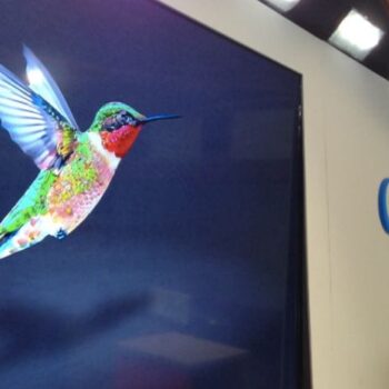 Hummingbird: wat je moet weten over Google’s nieuwste algoritme