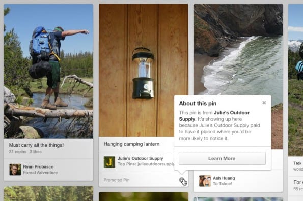 Pinterest-in-2013-promoted-pins