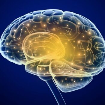Neuromarketing uitgelegd: laat je niet misleiden door logica