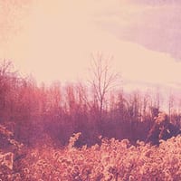 vintage_4