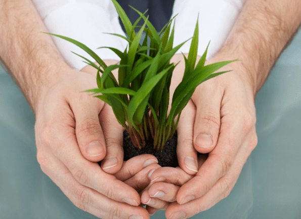 Foto: © apops - Fotolia.com