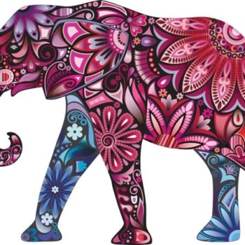 Innovatie bij je klant; hoe kom je voorbij de ‘roze olifant’?
