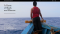 gameofshark