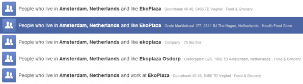 Facebook Graph Search