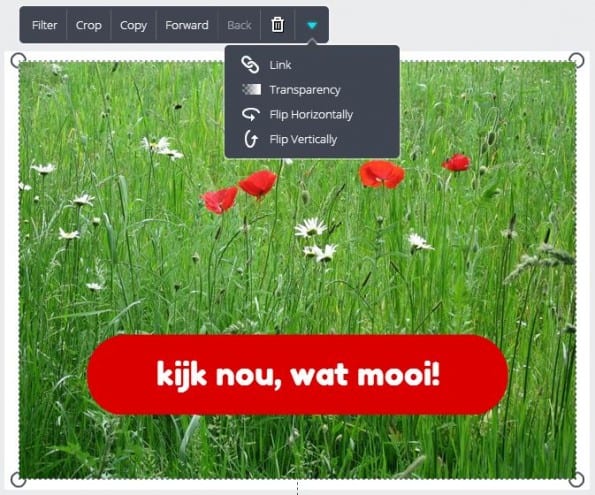 In Canva voeg je snel een tekstblok aan een foto toe