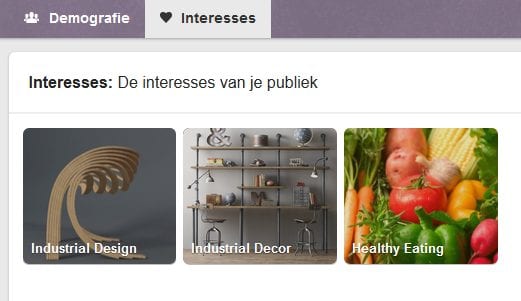 InteressesVanJeDoelgroepPinners