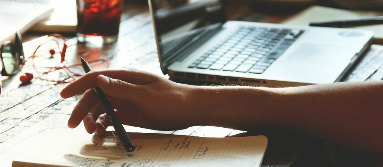 De gemeente online, van observant tot deelnemer [groeimodel]
