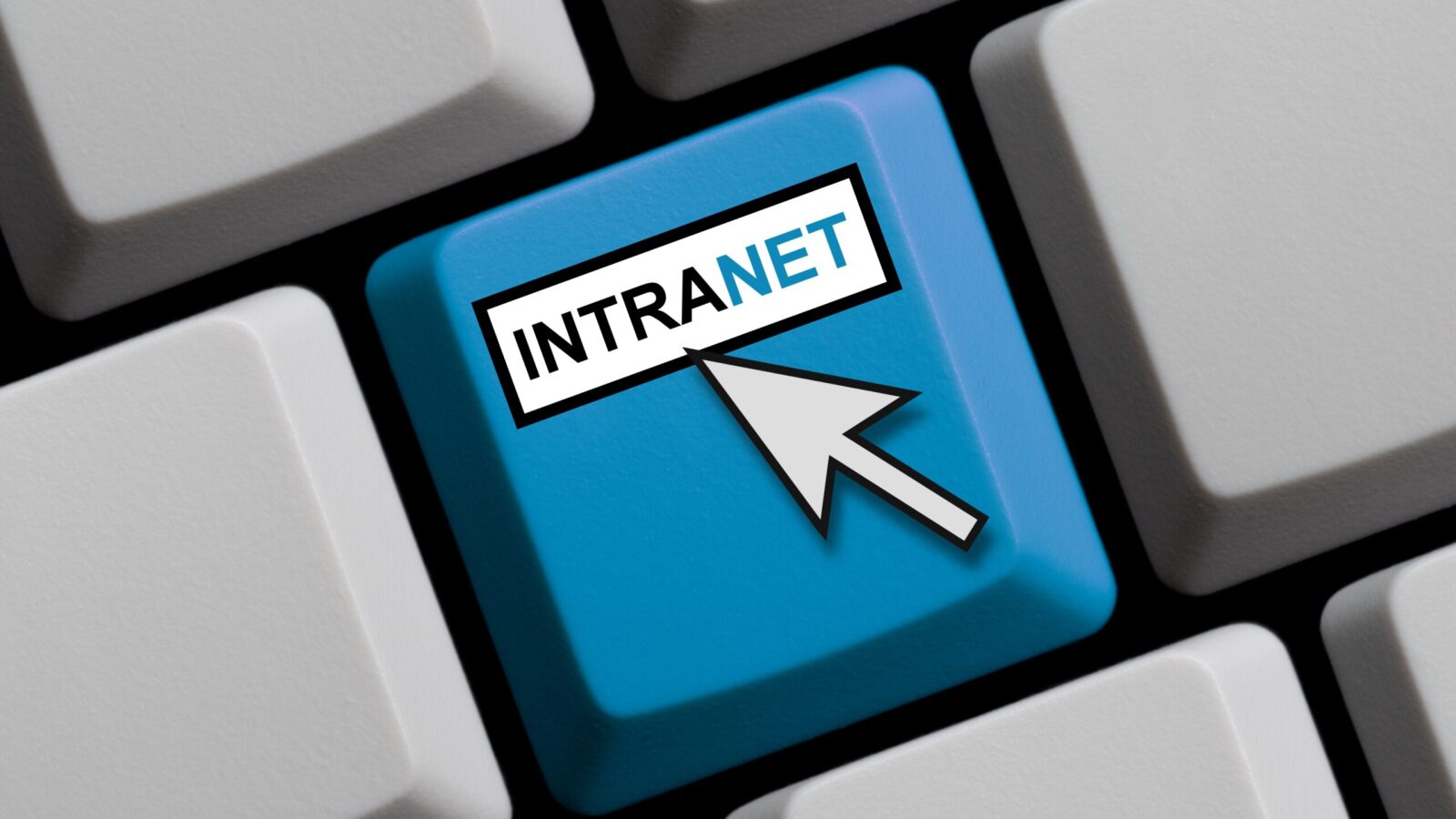 Intranet maakt een comeback: dit zijn de trends van 2015