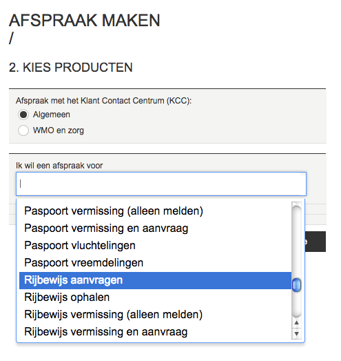 Detail website gemeente Delft