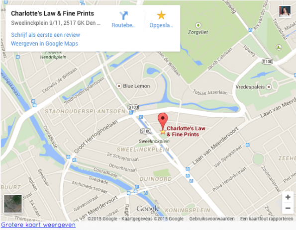 Bedrijf op Google Maps