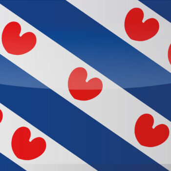 Een eigen domeinextensie voor Fryslân: cool idee of ‘it kin net’?