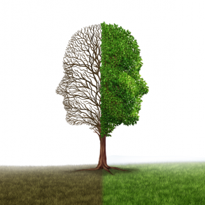 personality-tree-fotolia
