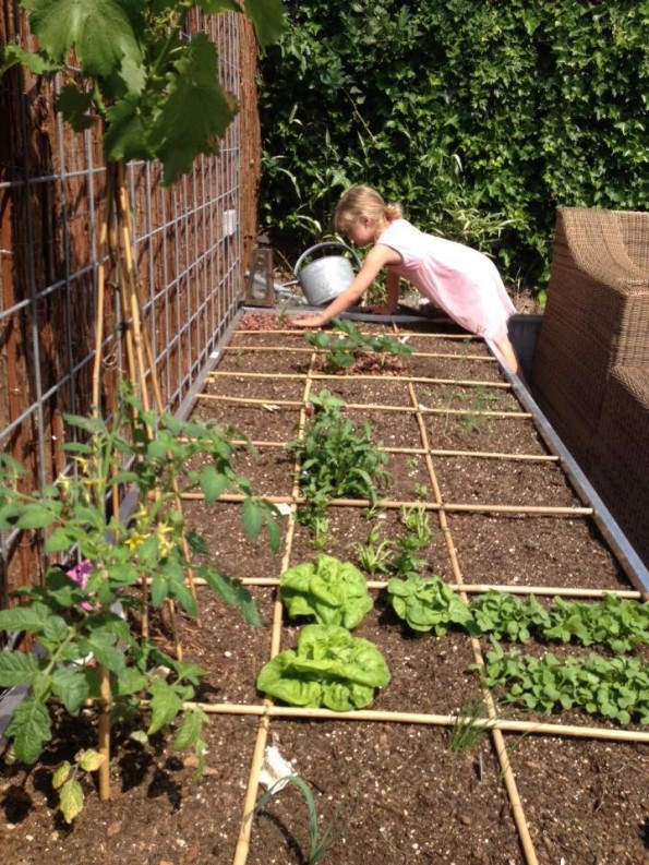 makkelijke_moestuin