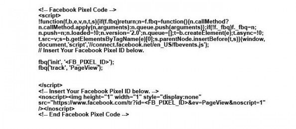 Facebook Custom Audience Pixel