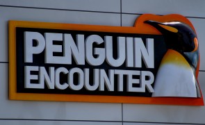 Google-Penguin