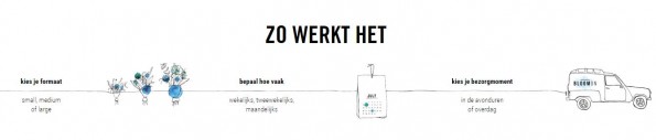 Artikel Bloomon foto 1