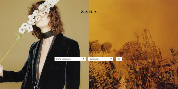 Voorbeeld Splashpage Zara