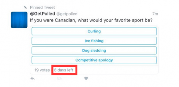twitter poll functie