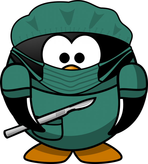 Penguin Algoritme