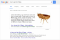 Rich_answer_google