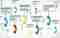 calltracking