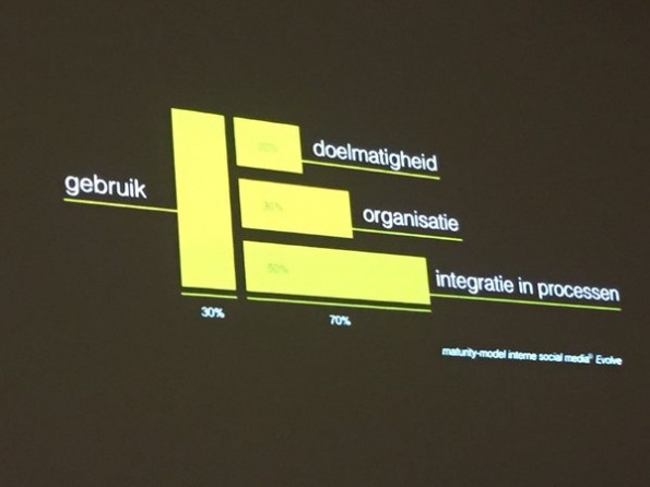 Maturity model ESN