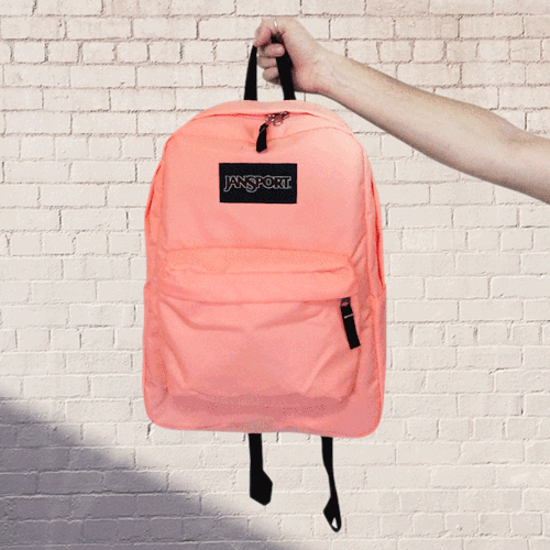 jansport
